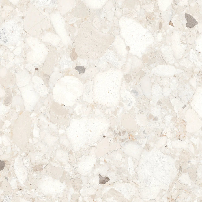 CUT TILE SAMPLE Venice Ivory Terrazzo Tile Polished Ivory 60cm x 60cm