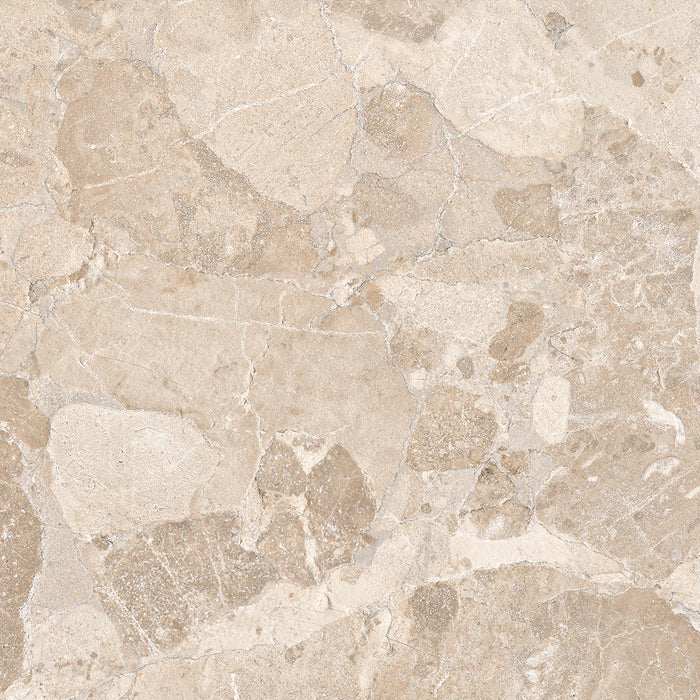 CUT TILE SAMPLE Riad Avorio Sassi Terrazzo Stone | Wall & Floor Tiles | 60cm x 60cm