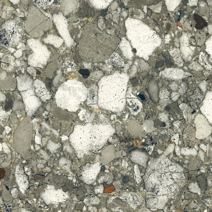 CUT TILE SAMPLE Venice POLISHED Terrazzo Emerald Green 60cm x 60cm